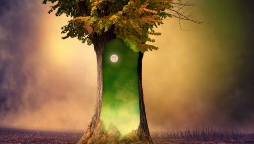The Magic Tree picture that inspired a story